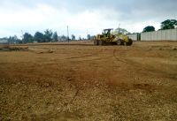 Click image to open!