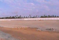 Click image to open!