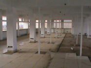 Click image to open!